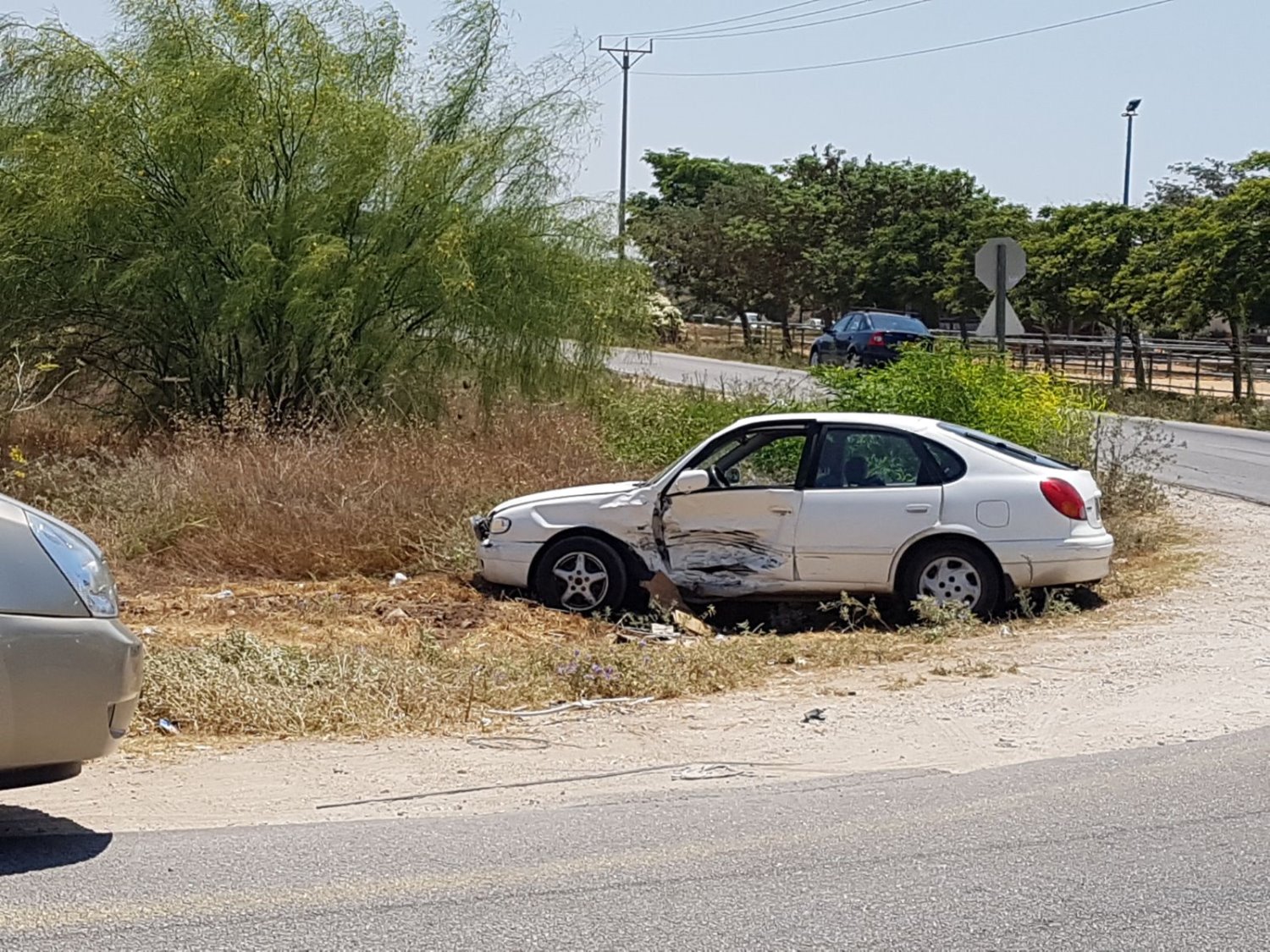 צילום: דוברות איחוד הצלה.