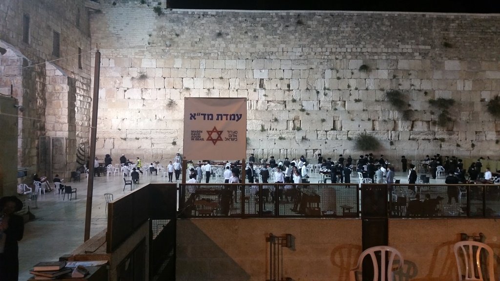 צילום: דוברות מד"א