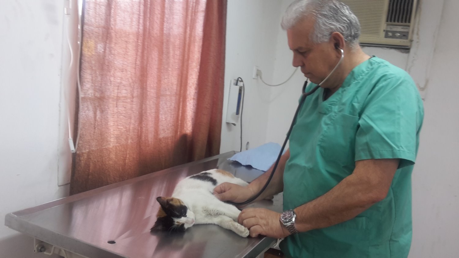 צילום: ארכיון מועצה מקומית