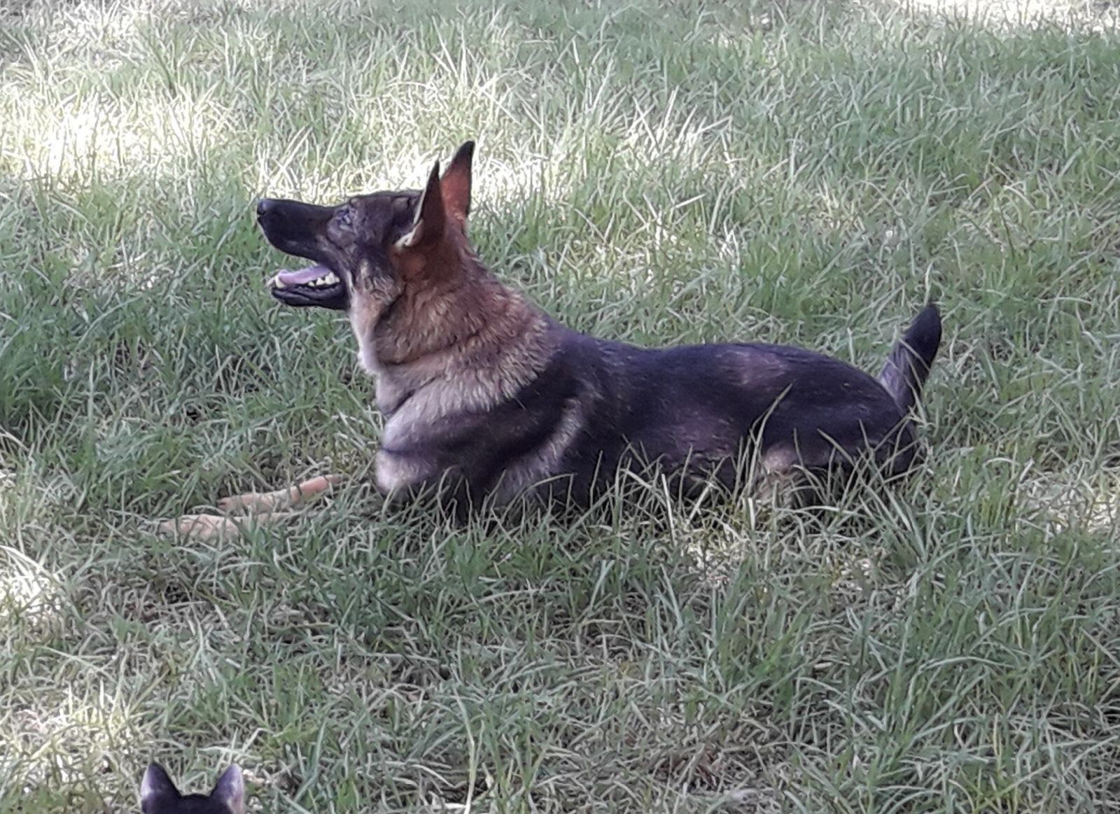 צילום: דוברות המשטרה