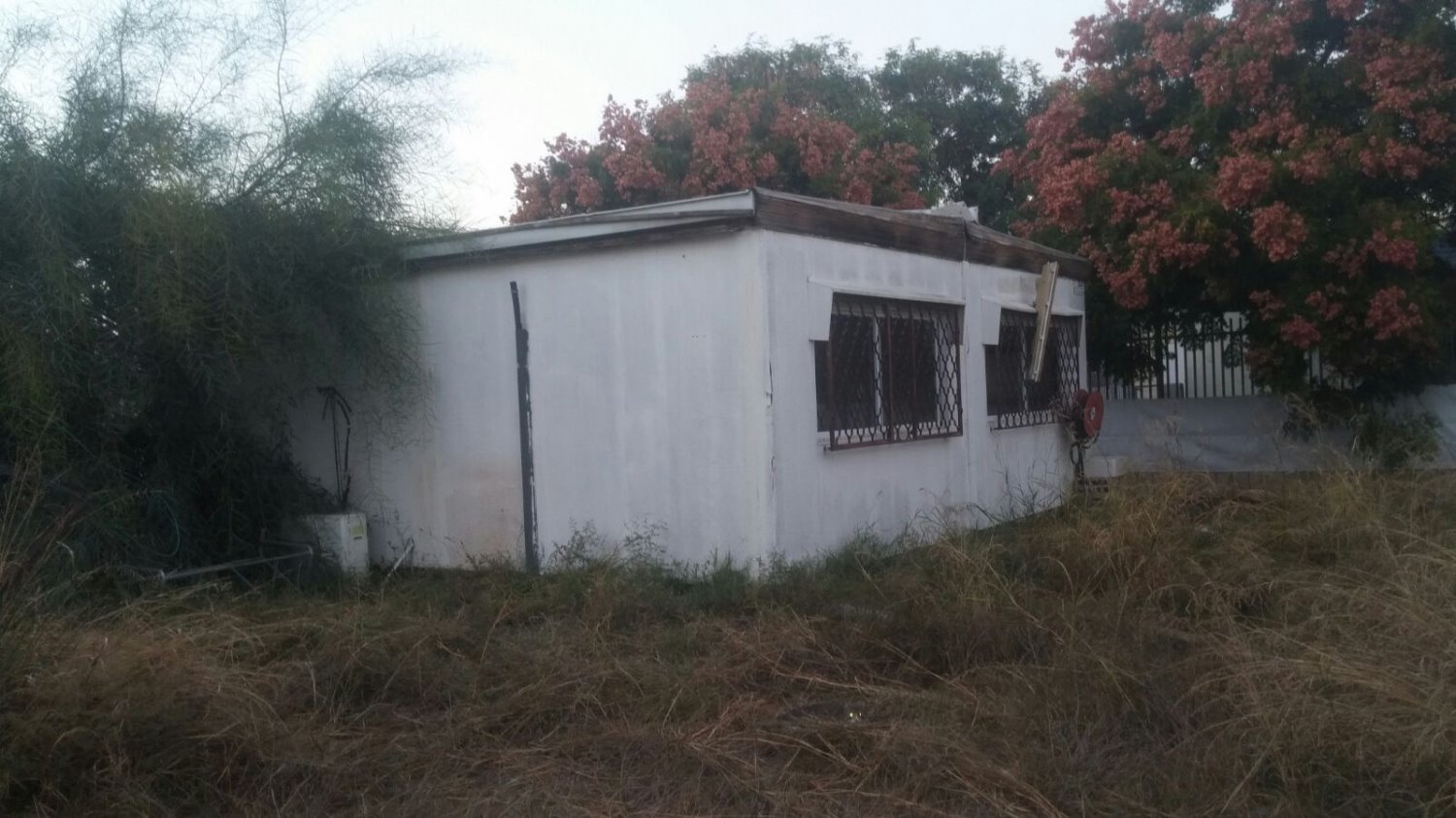 צילום: הרב שניאור