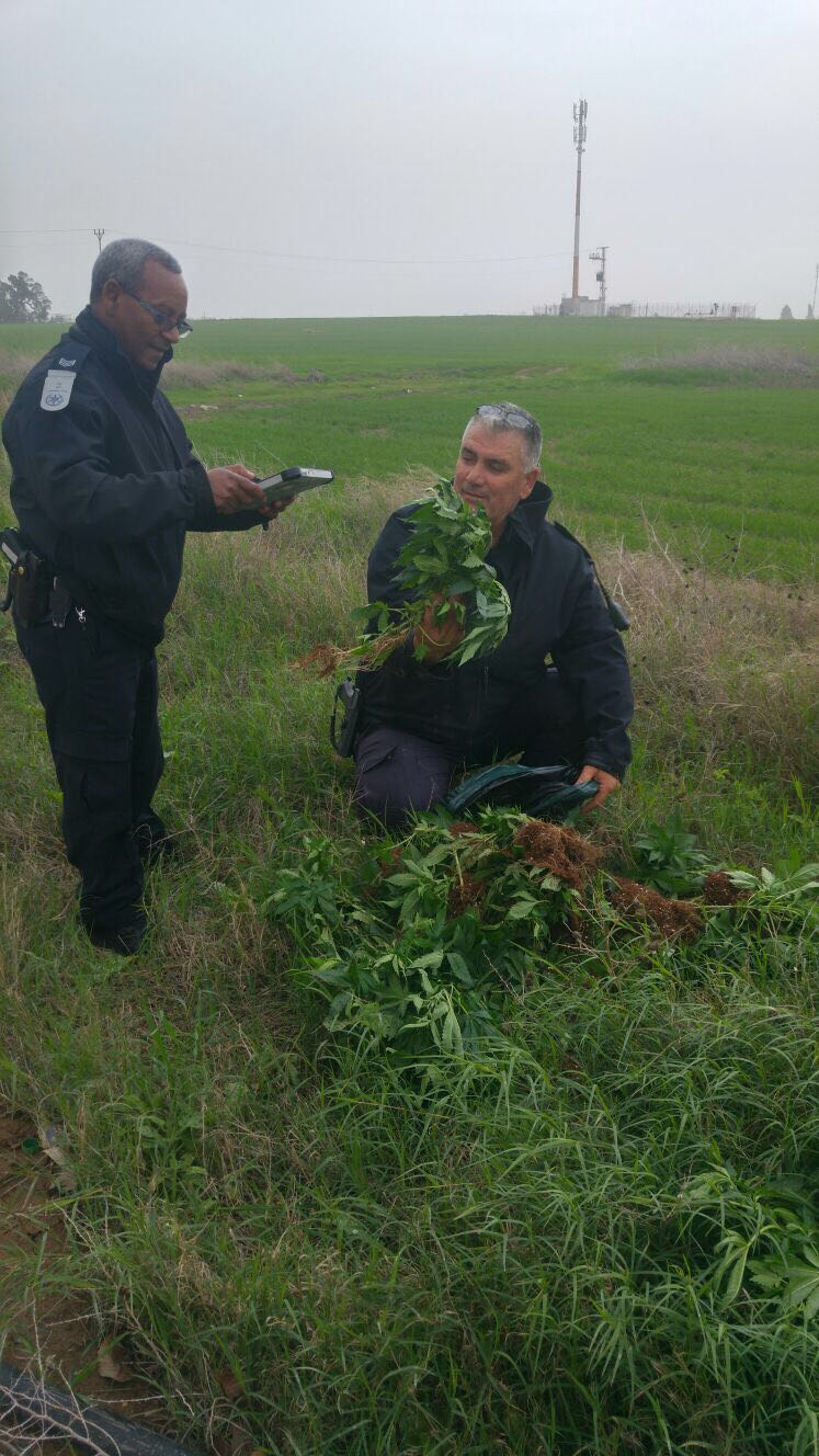 צילום: דוברות המשטרה