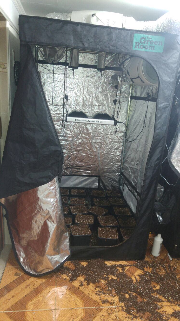 צילום: דוברות המשטרה