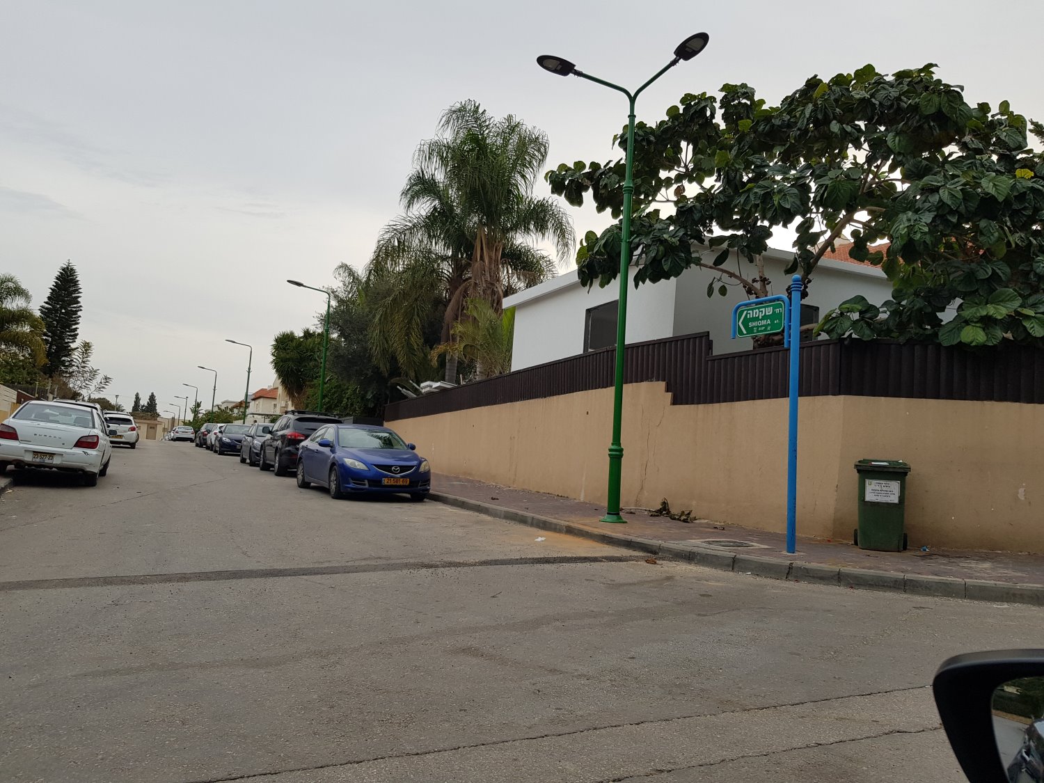 תאורה חדשה ברחוב השקמה