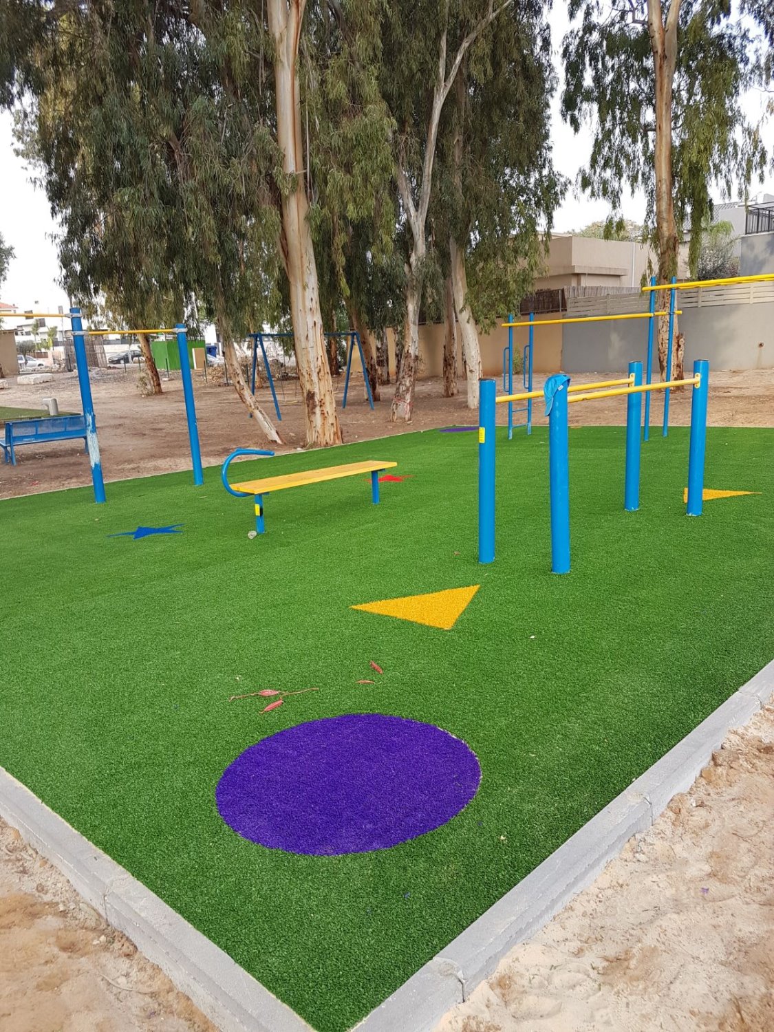 שדרוג גן אקליפטוס