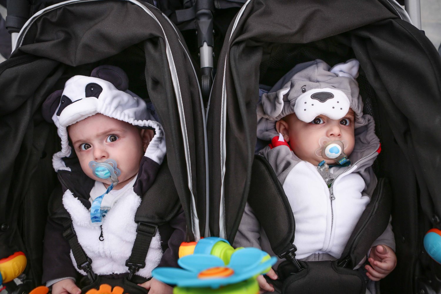 חייבים קצת מתוק לסוף