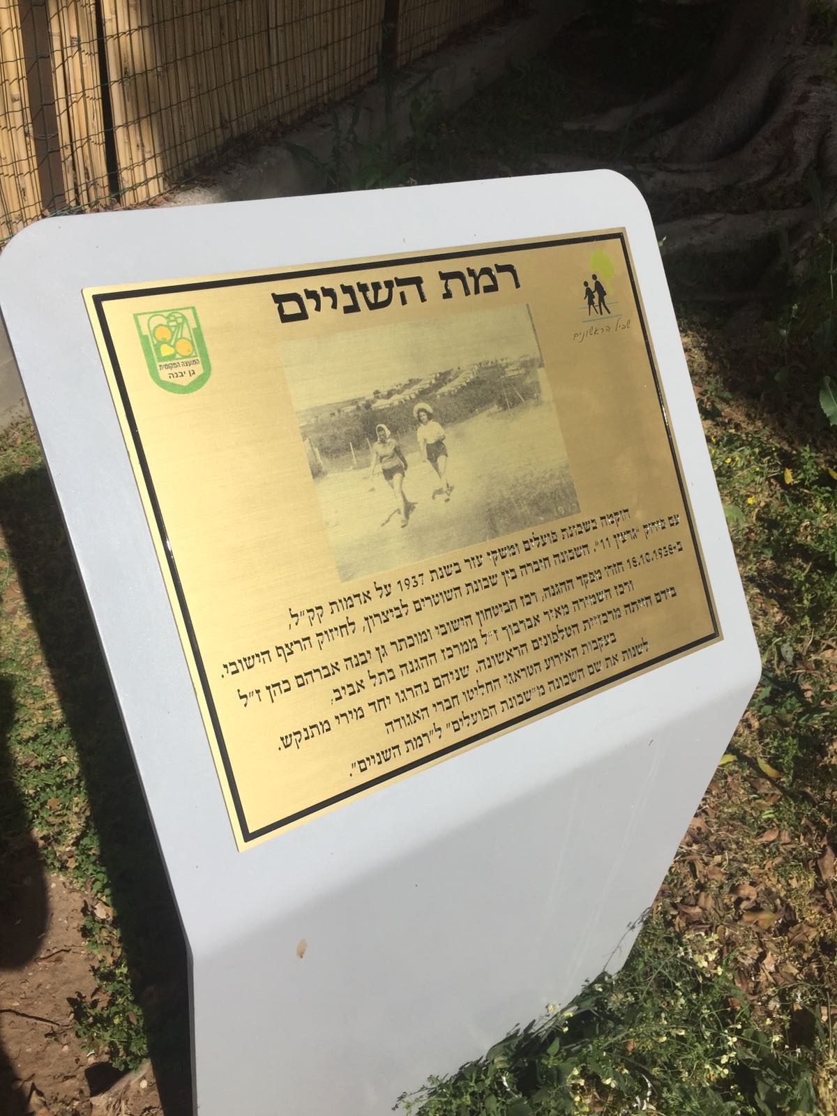 השילוט החדש