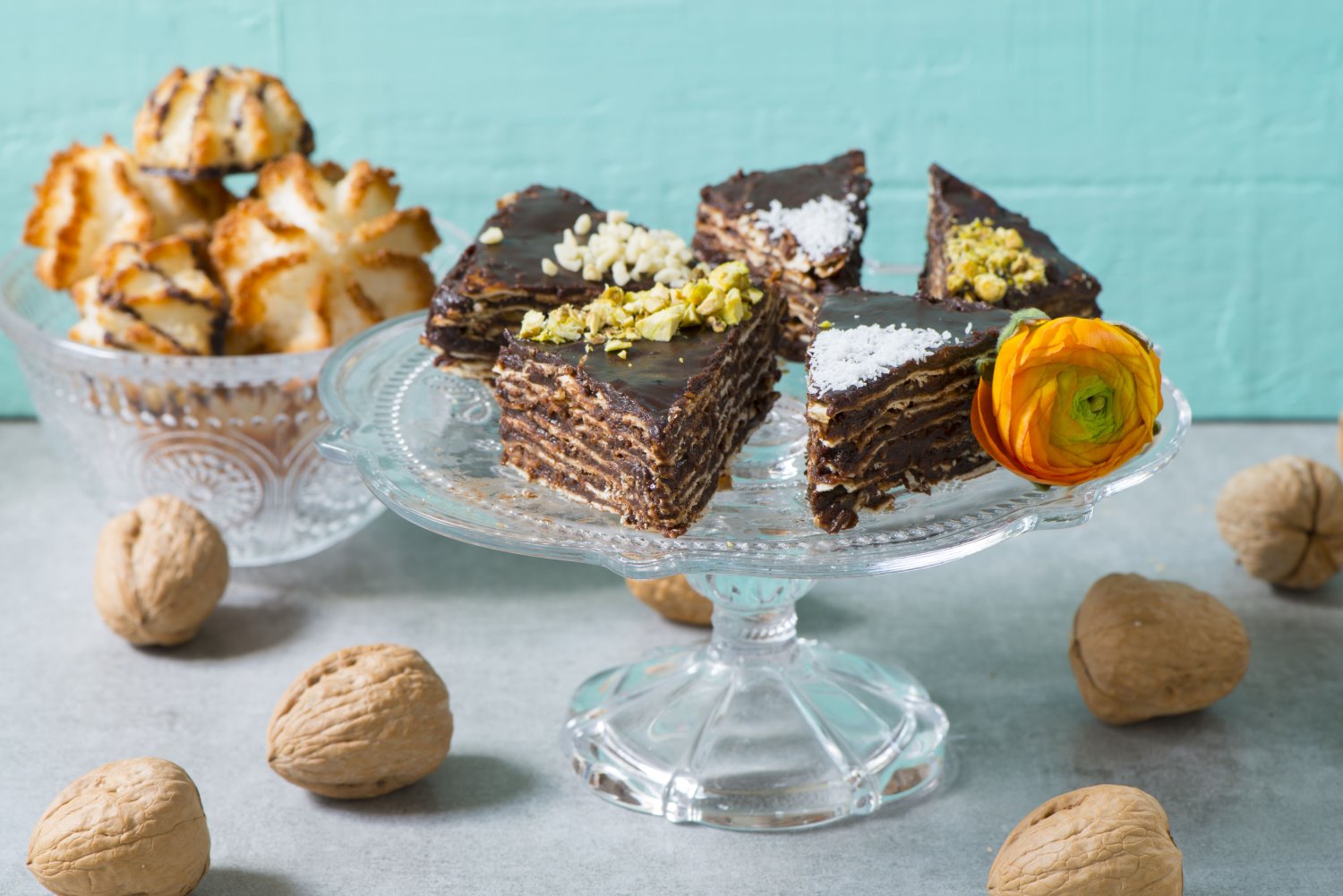 צילום: shutterstock