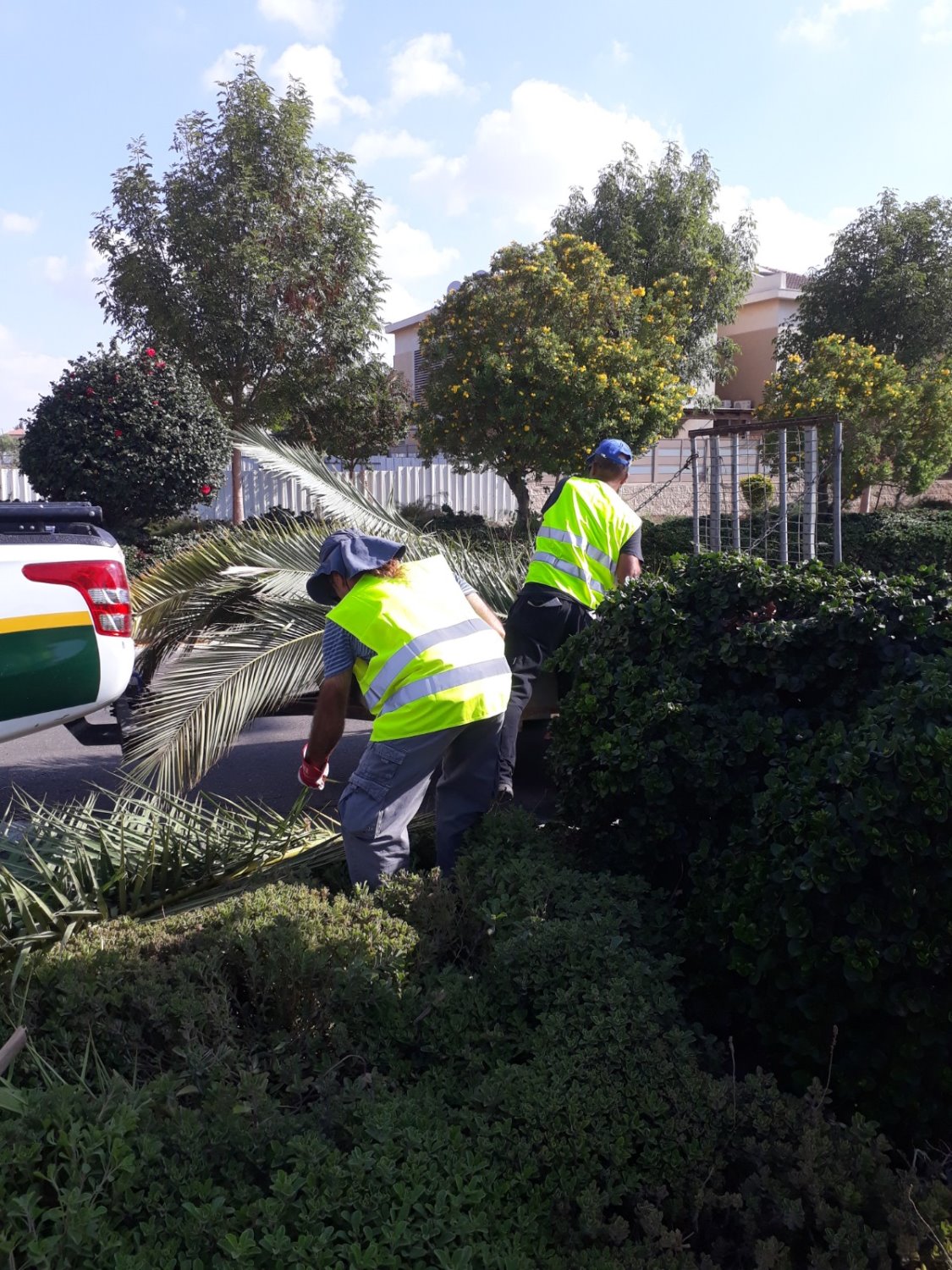 דוברות מועצה מקומית גן יבנה