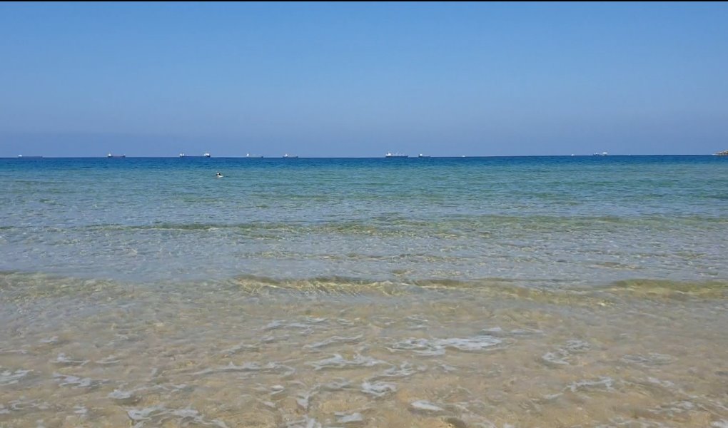 צילום אלדה נתנאל צילום אלדה נתנאל