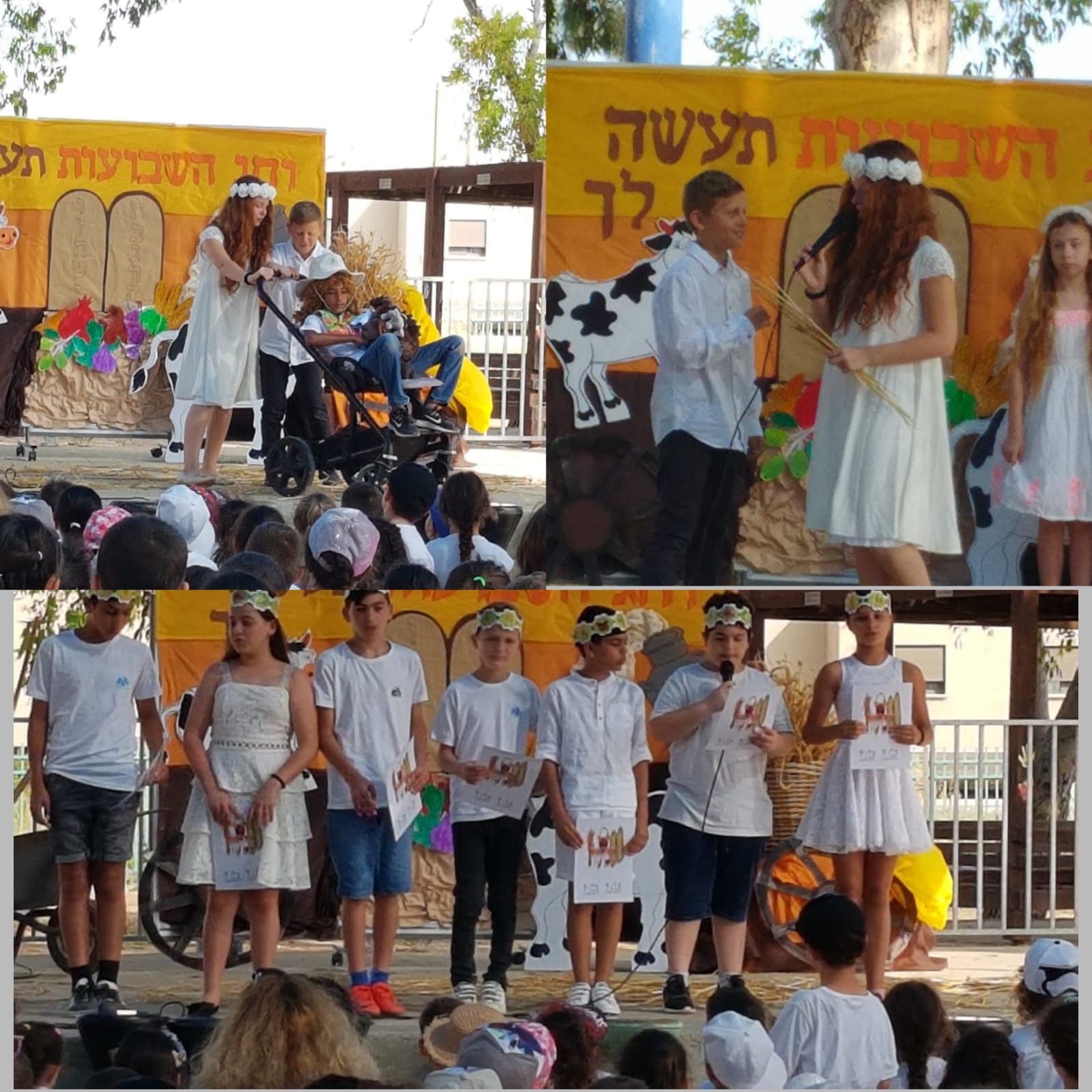 דוברות מועצה מקומית גן יבנה