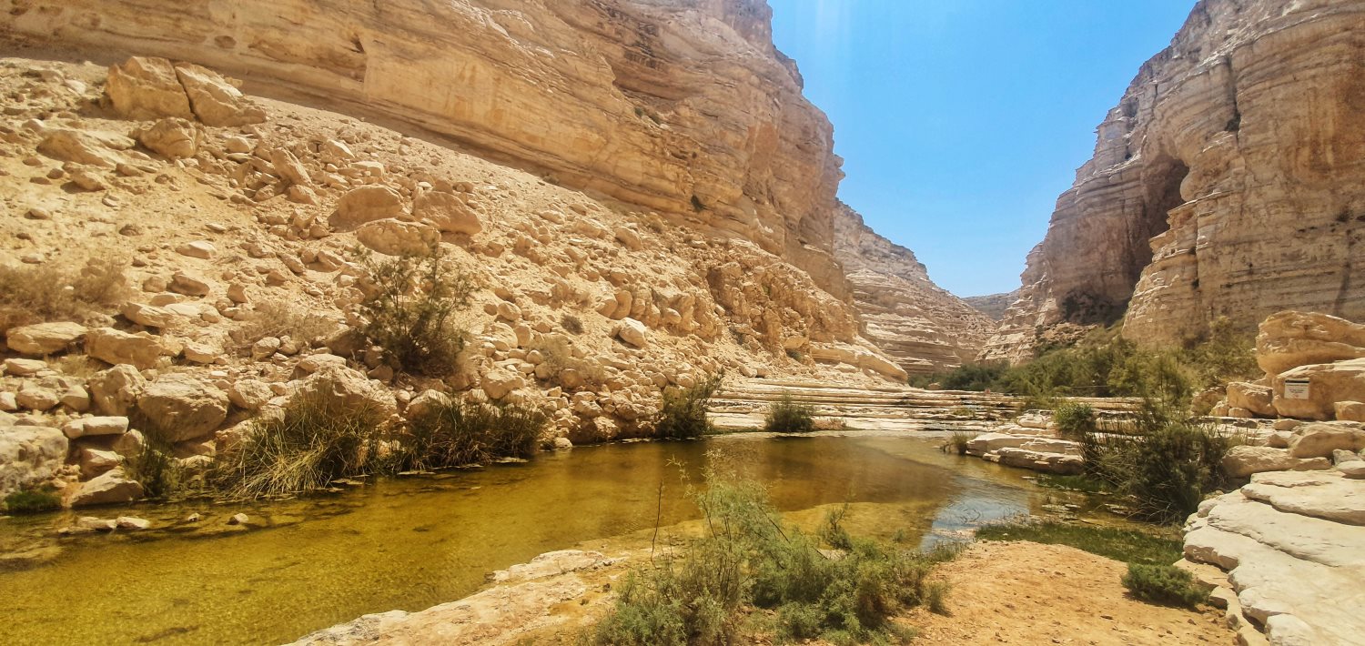 צילום אלדה נתנאל