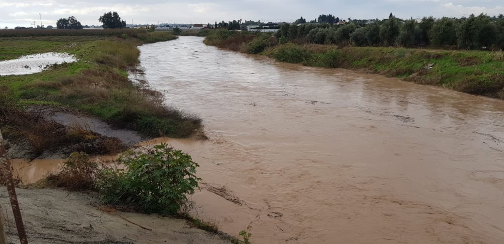 נחל האלה הבוקר. צילום: עופר אשטוקר