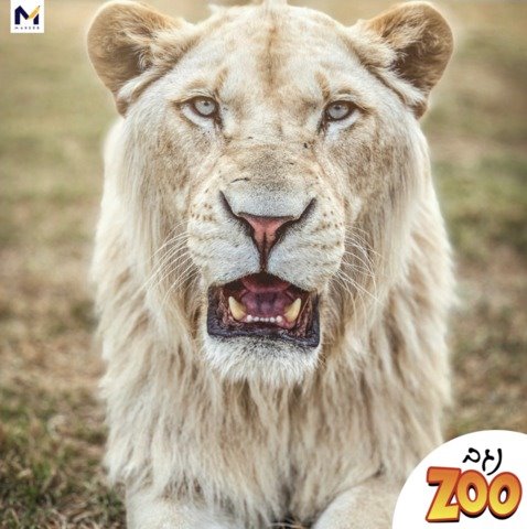 קרדיט נגב ZOO