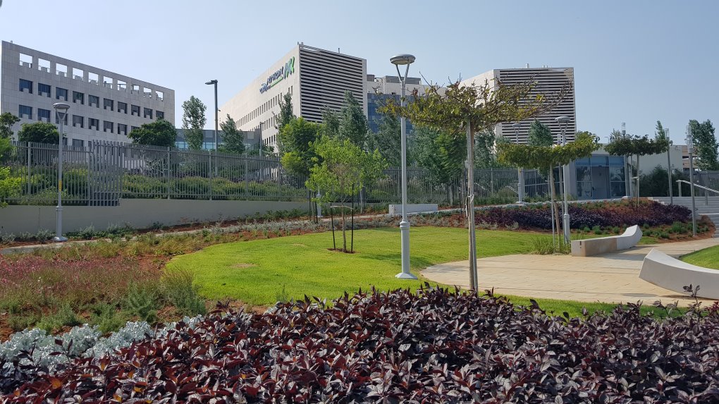 בית החולים אסותא באשדוד (צילום: עופר אשטוקר) בית החולים אסותא באשדוד (צילום: עופר אשטוקר)