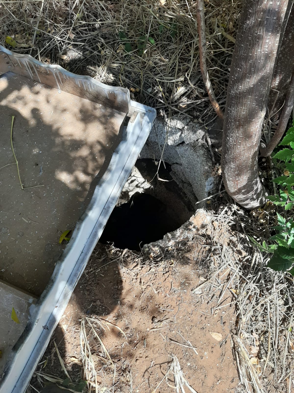 משטרת ישראל