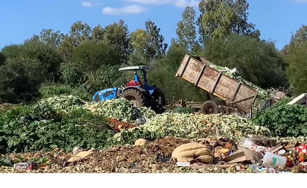 צילום המשרד להגנת הסביבה צילום המשרד להגנת הסביבה