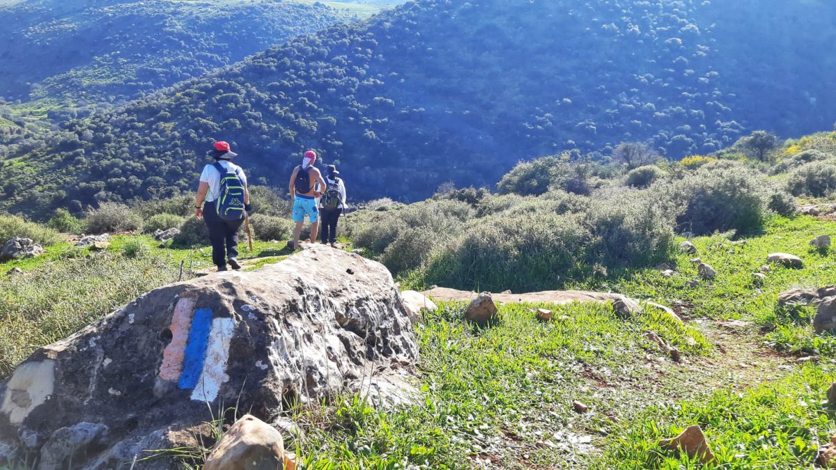 מטיילים בטבע. צילום: יניב כהן, רשות הטבע והגנים