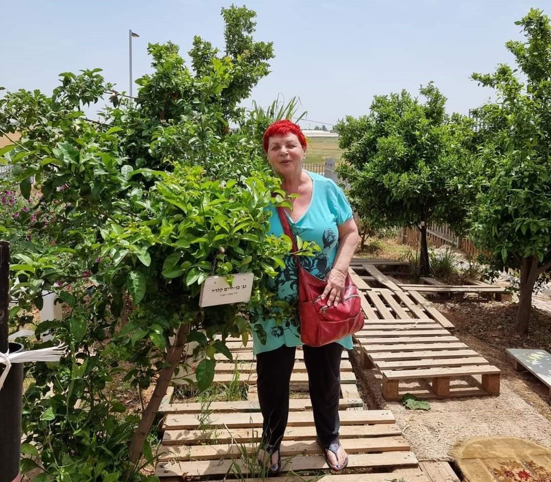 אלונה טריסקר אלונה טריסקר