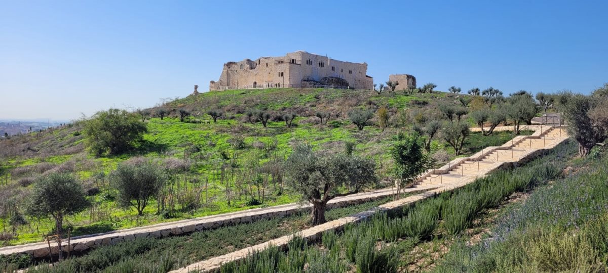 גן לאומי מגדל צדק צילום יניב כהן רשות הטבע והגנים