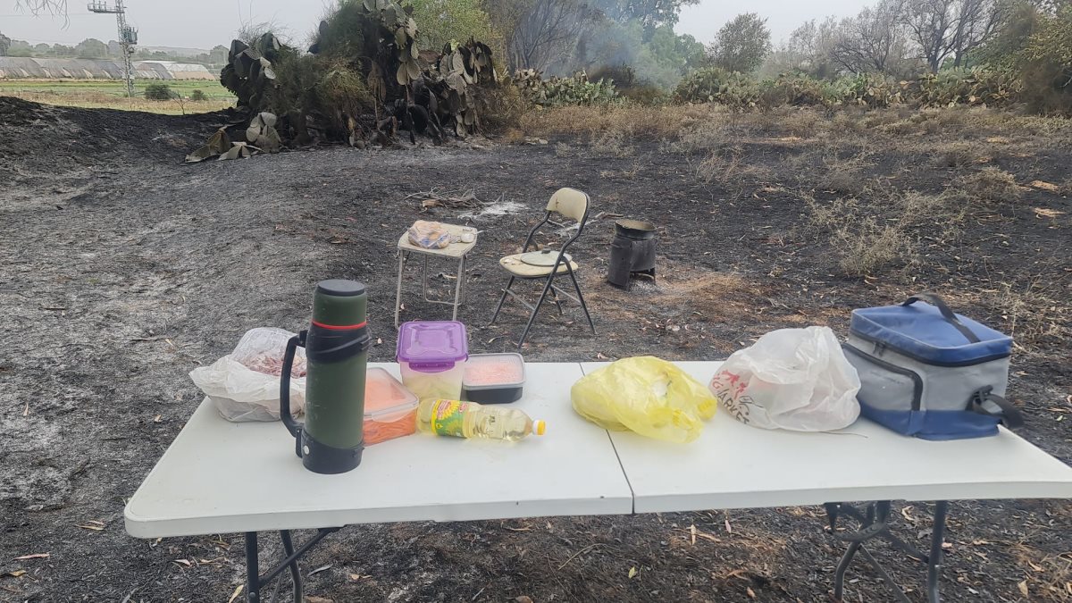 שריפה שכילתה חורש בשבוע שעבר באזור כרמיה (צילום: דוברות כיבוי והצלה) שריפה שכילתה חורש בשבוע שעבר באזור כרמיה (צילום: דוברות כיבוי והצלה)