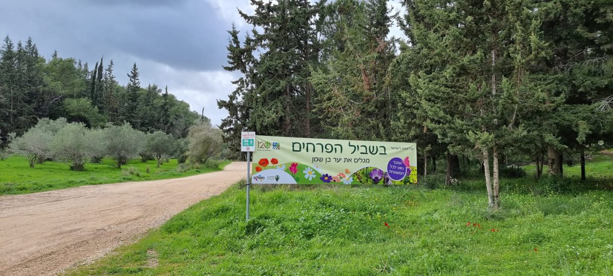 צילום דברת דיטובסקי קק"ל צילום דברת דיטובסקי קק"ל