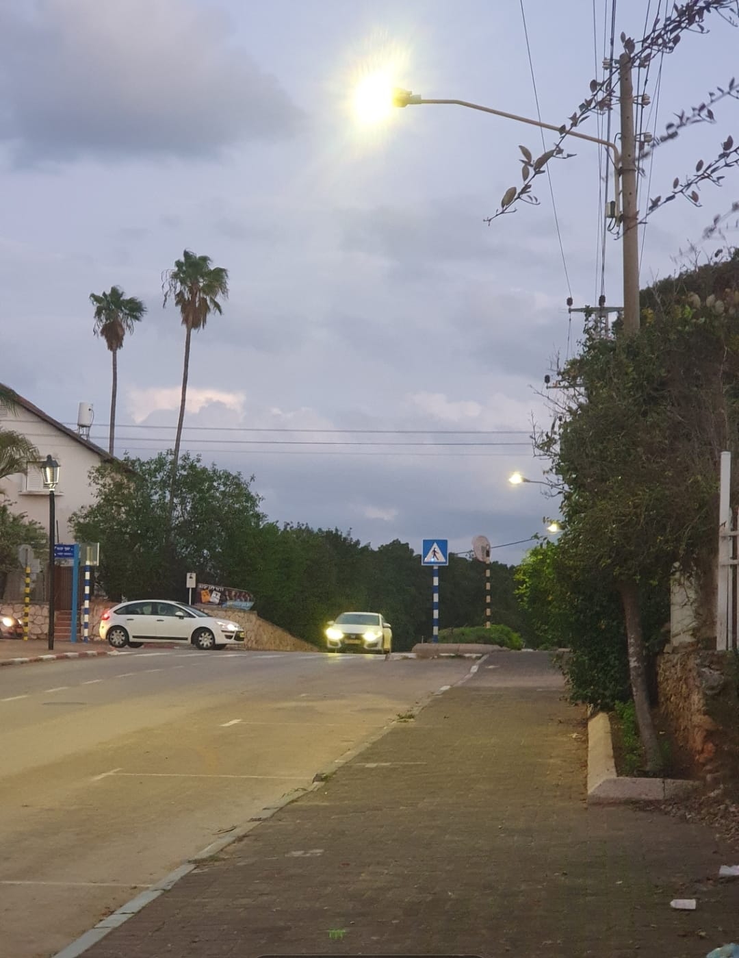 מרי לופו קסלר