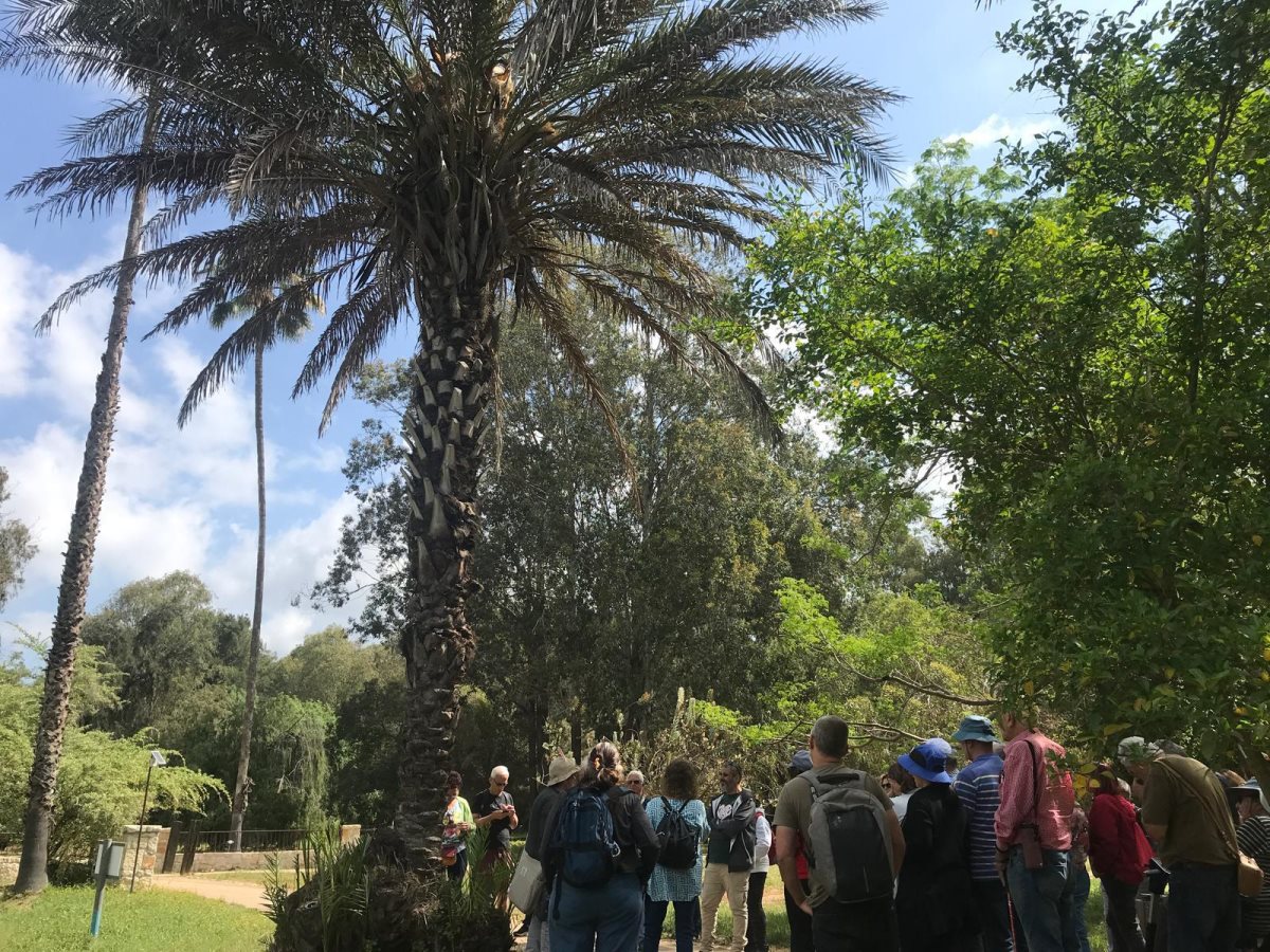 צילום- חני קהלני, קק&#39;&#39;ל