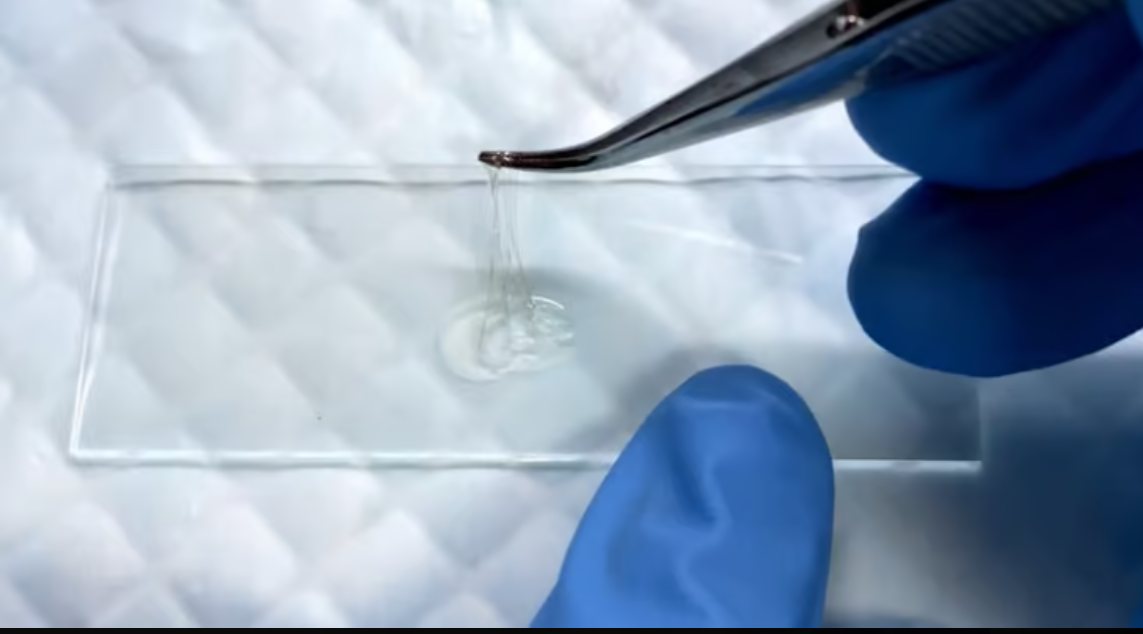 הדבק הביולוגי (צילום: מעבדת ד"ר שאדי פרח)