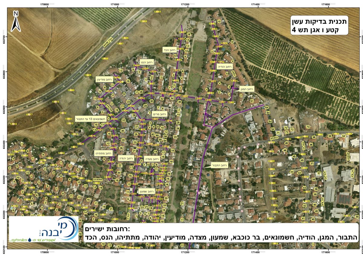 דובורת גן יבנה 