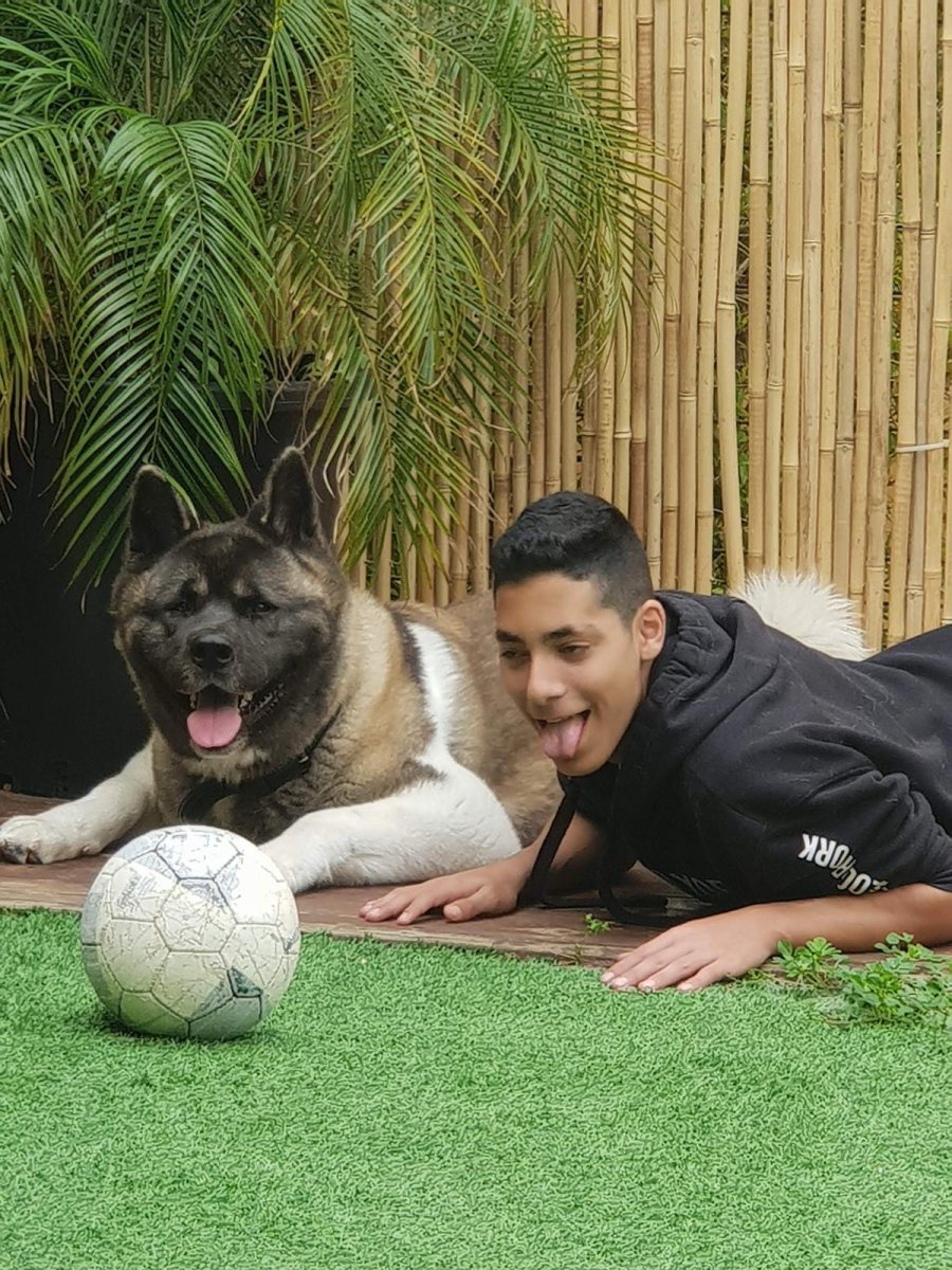 סאנפט ציוד ומזון לבעלי חיים