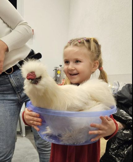 צילום מסך פייסבוק