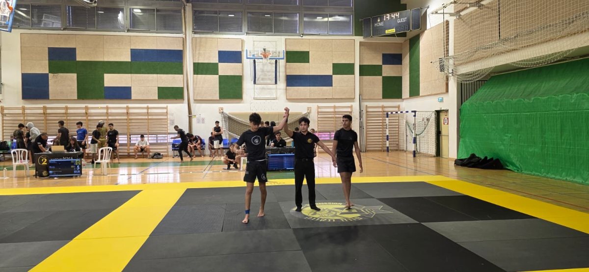 דוד אביסרור mma