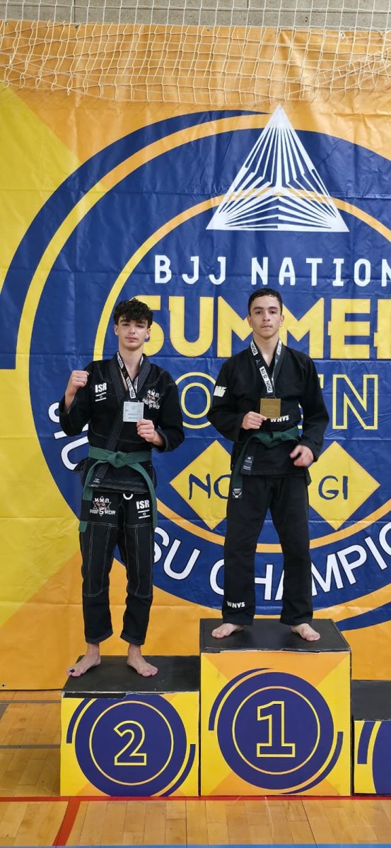 דוד אביסרור mma