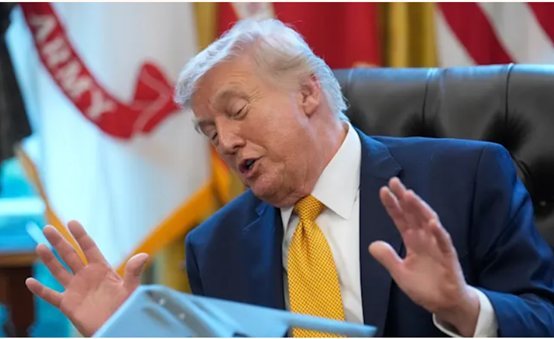 דונלאד טראמפ דונלד טראמפ - צילום: ap, Julia Demaree Nikhinson