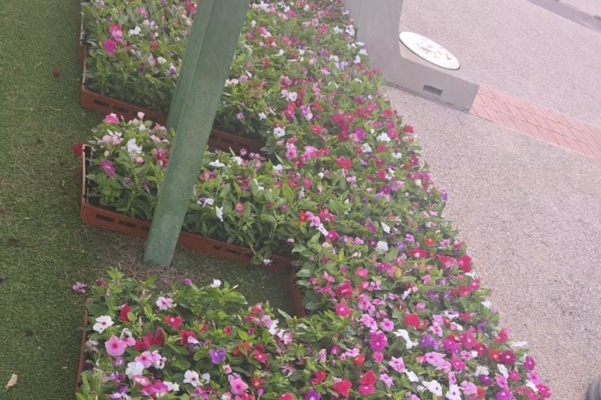 שותלים פרחים ברחבי גן יבנה (פייסבוק המועצה)