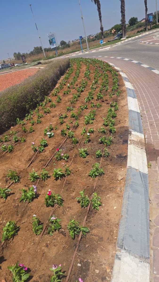 שותלים פרחים בגן יבנה (פייסבוק המועצה)