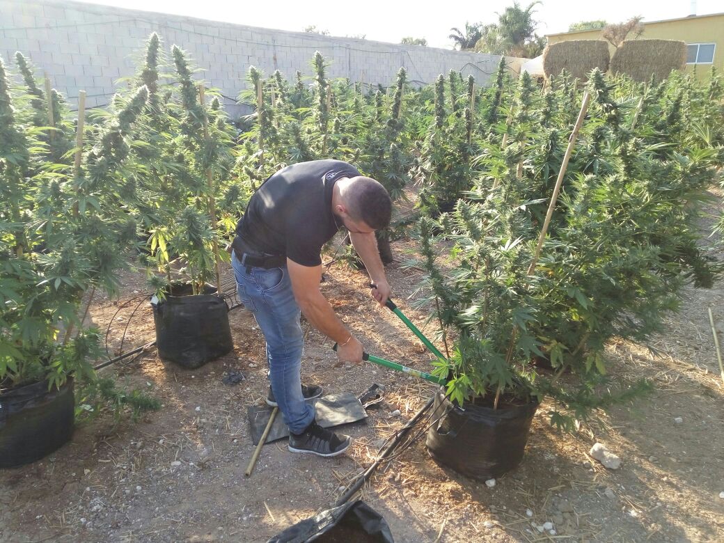 תמונה ללא תיאור