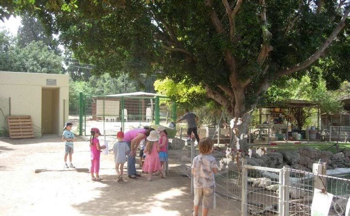 מארכיון גברעם תיאור אפשרי של תמונה: מארכיון גברעם