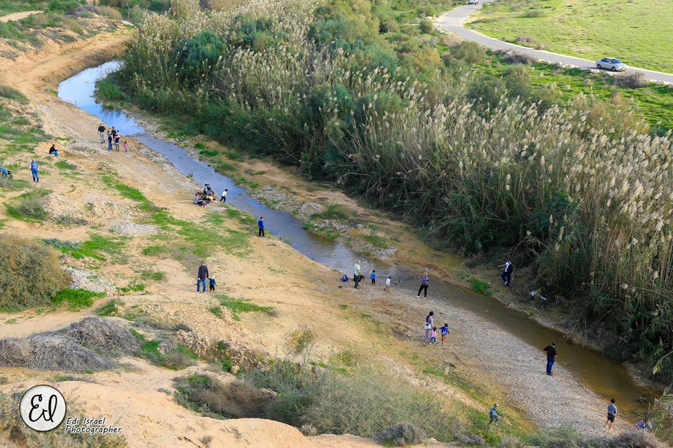 צילום אדי ישראל תיאור אפשרי של תמונה: צילום אדי ישראל