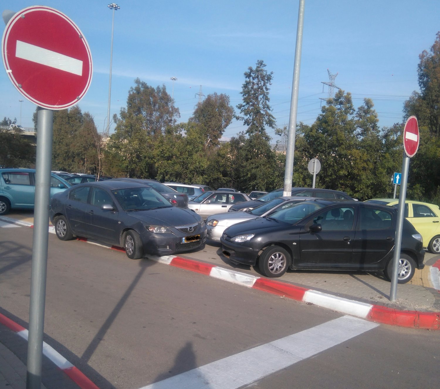 תמונה ללא תיאור