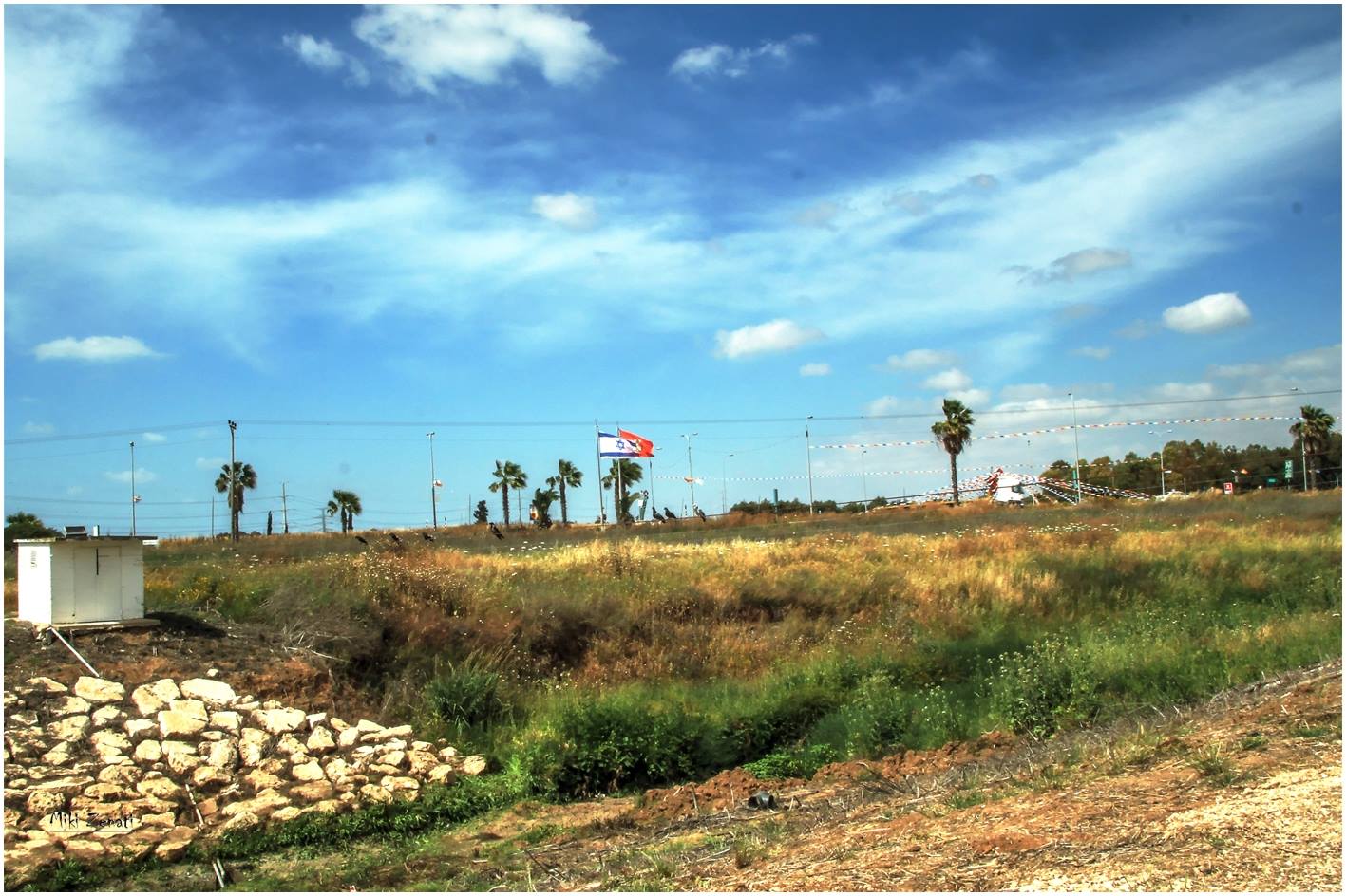 צילום: מיקי זנתי