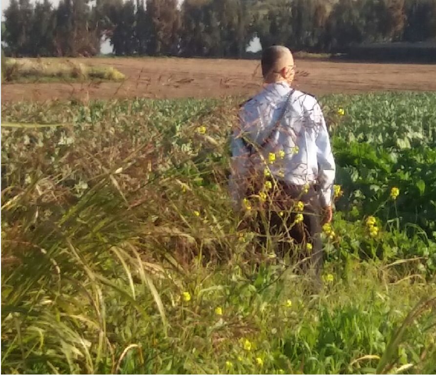 צילום: אלמוג לוי