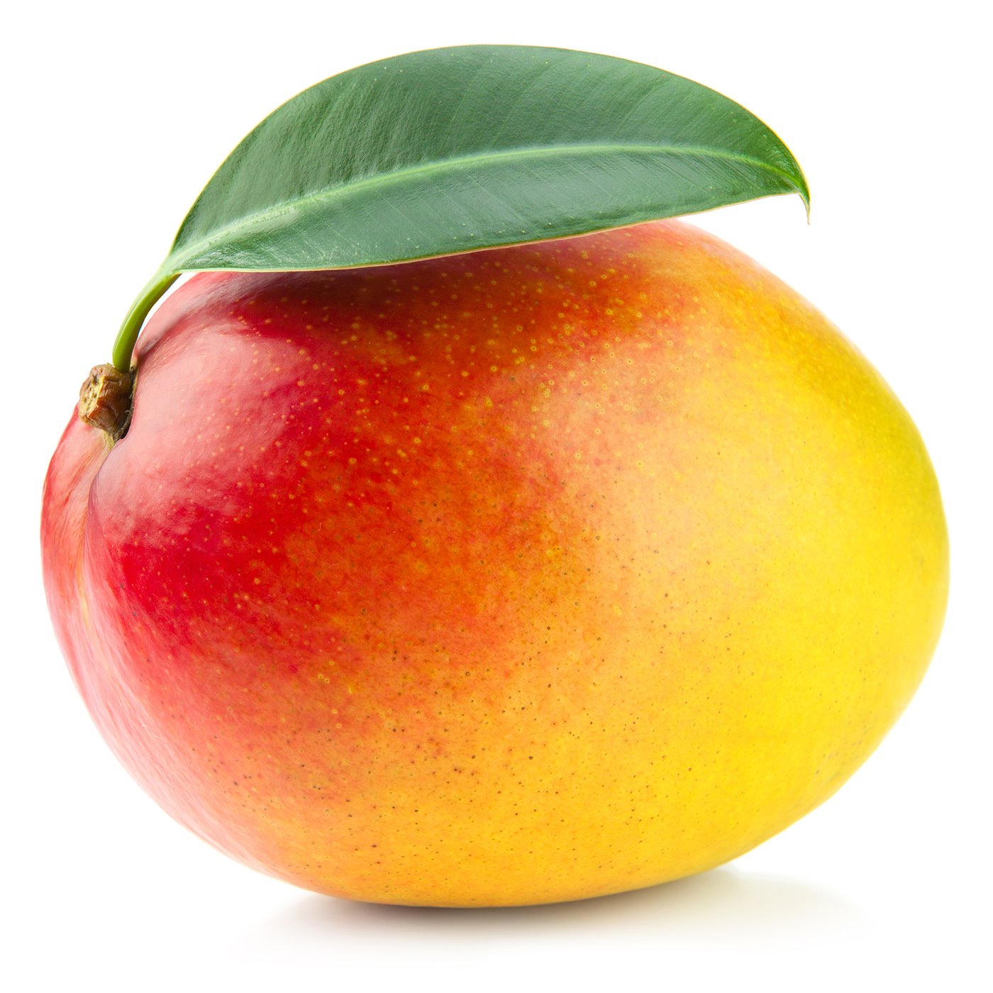 תמונה ללא תיאור