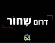 דרום שחור