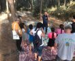פריחה מרהיבה ביערות ישראל: טיולים ופעילויות לכל המשפחה בחודש מרץ
