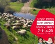 בנק הפועלים