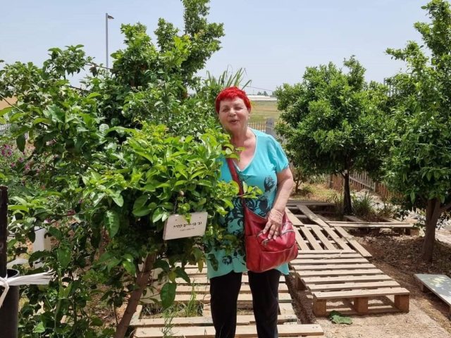 אלונה טריסקר