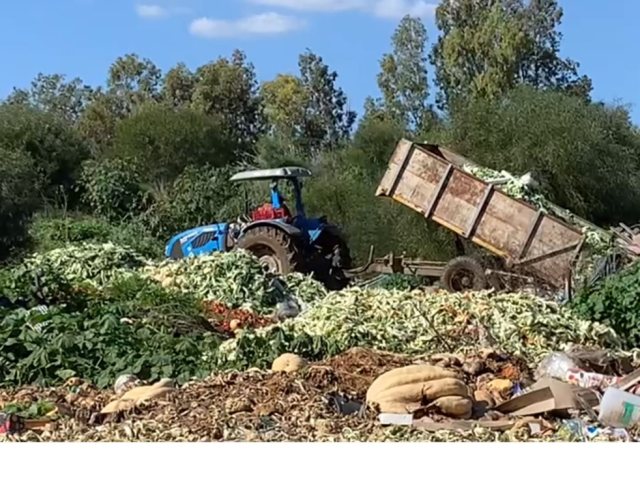 צילום המשרד להגנת הסביבה 