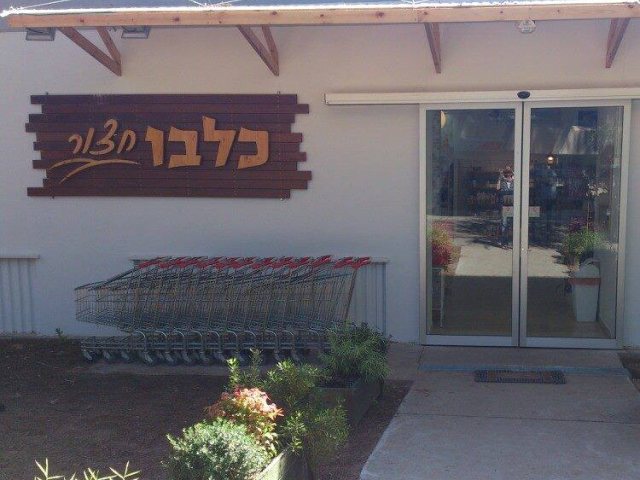 קיבוץ חצור